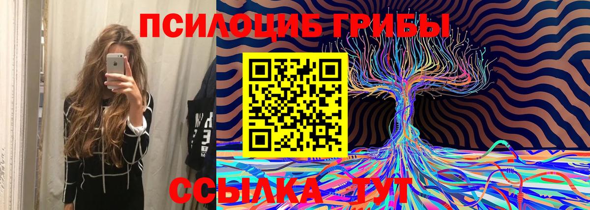 Ступино  Галлюциногенные грибы MAGIC MUSHROOMS  Вход с VPN  Галлюциногенные грибы мухоморы 